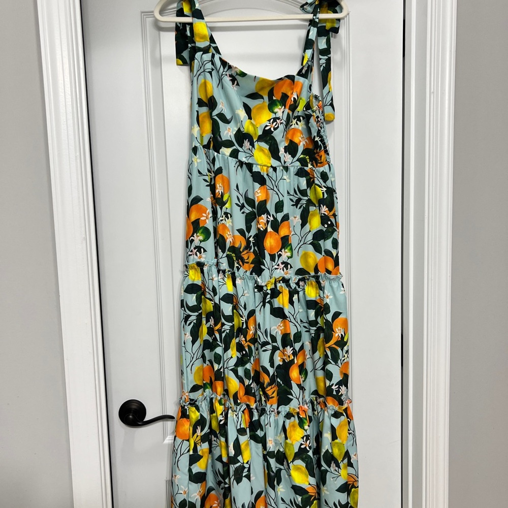 Floral and Fruit Print Maxi Dress